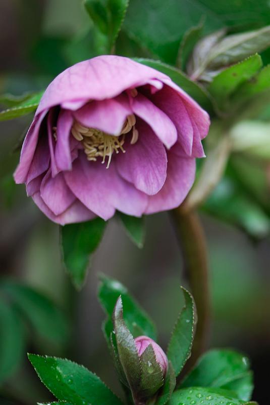 DSC_3782.jpg