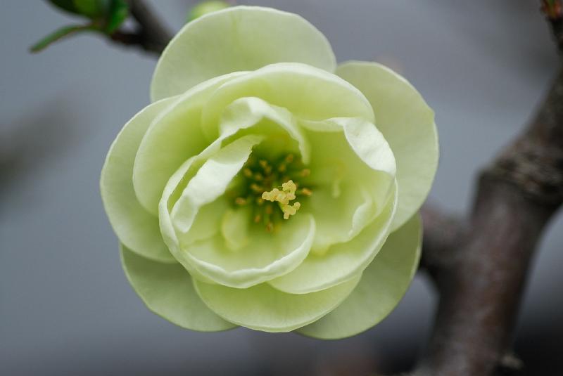 DSC_3978.jpg