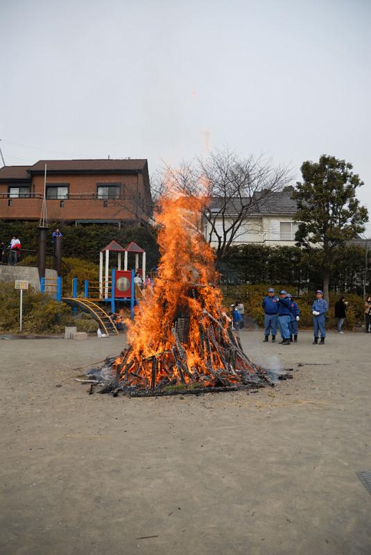 DSC_3144.jpg