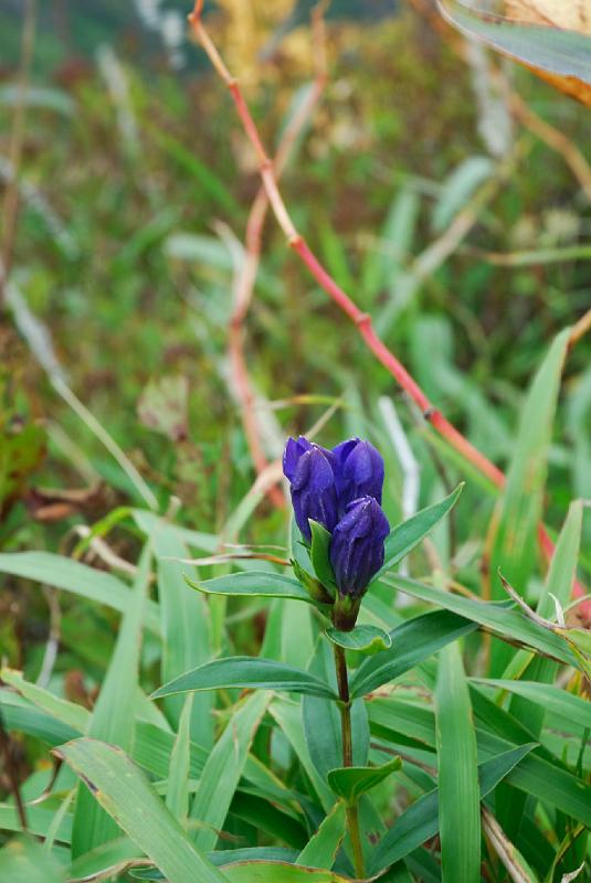 DSC_1589.jpg