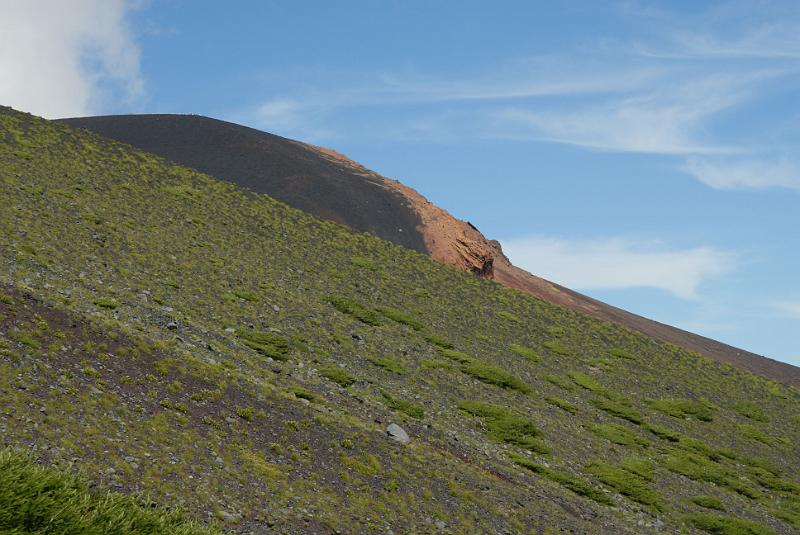 DSC_1694.jpg