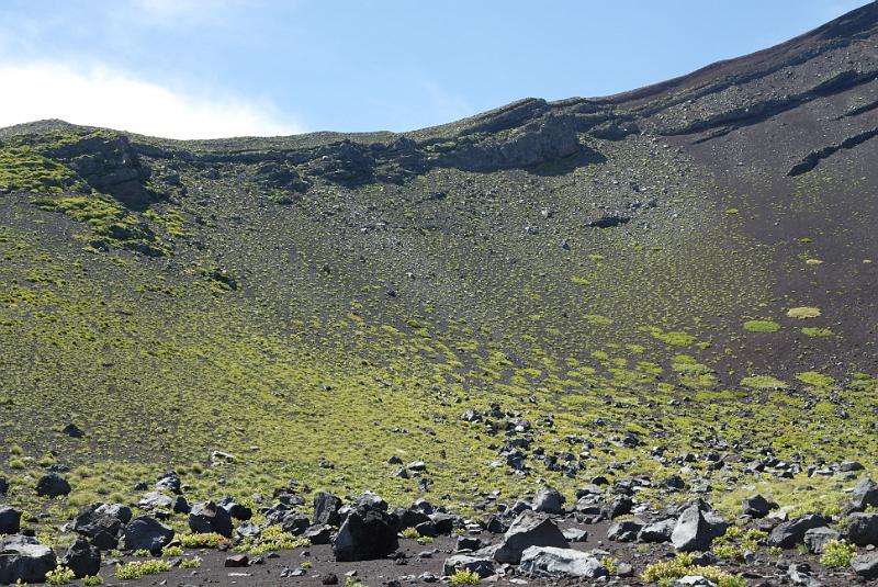 DSC_1702.jpg