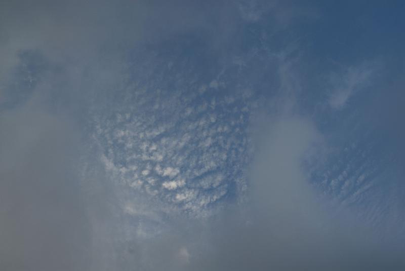 DSC_1795.jpg