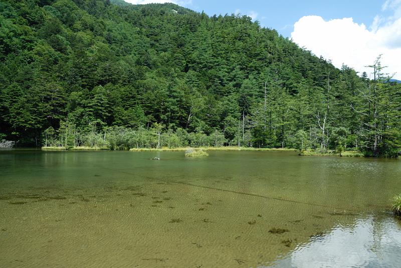 DSC_1885.jpg
