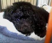 20080504130301.jpg