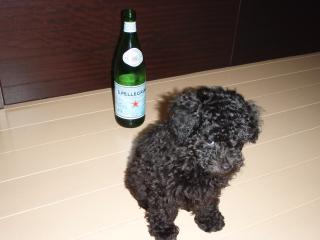 nero & sanpellegrino