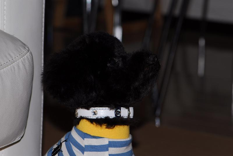 DSC_0014.JPG