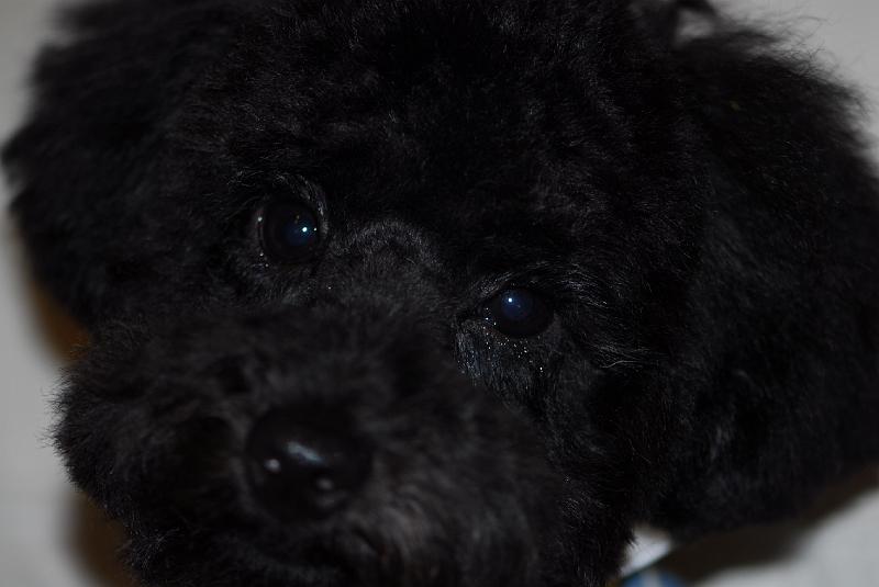 DSC_0021.JPG
