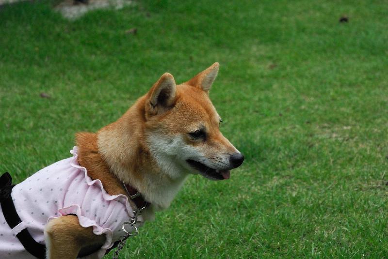 DSC_1136.jpg