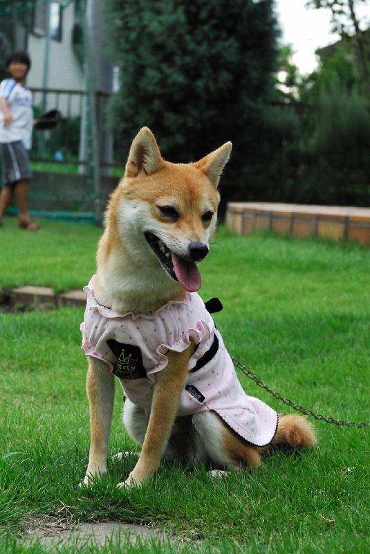 DSC_1140.jpg