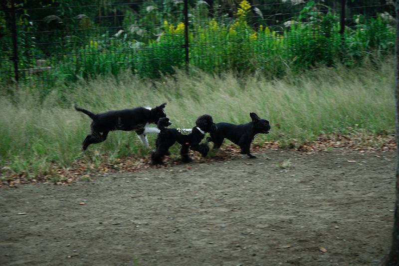 DSC_2551.jpg