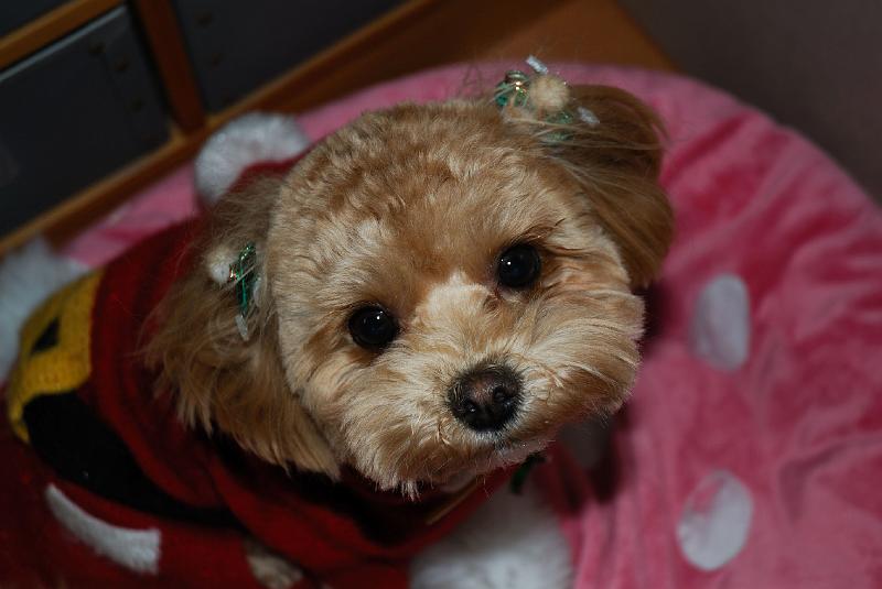 DSC_2834.jpg