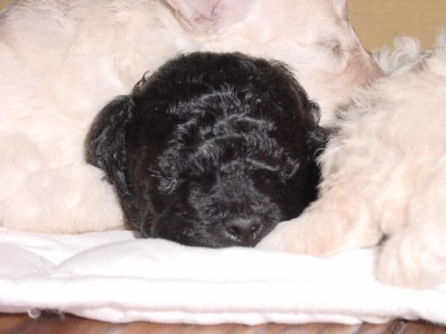 dsc00027.jpg
