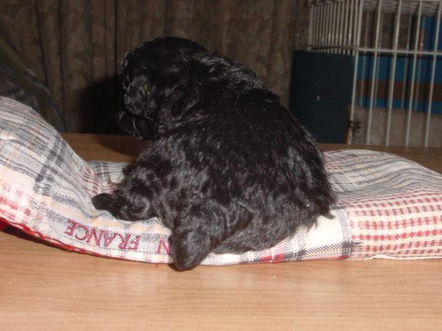 dsc00022.jpg