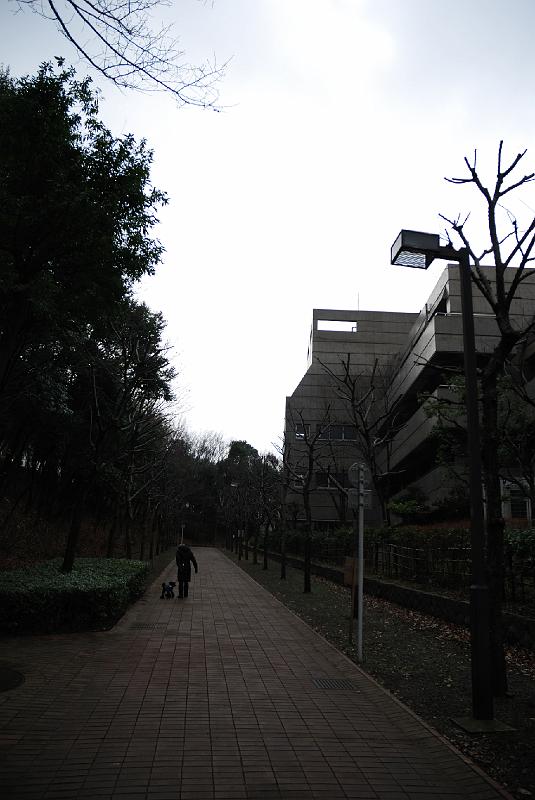 DSC_2894.jpg