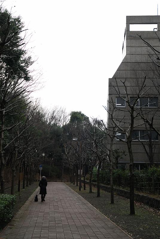 DSC_2899.jpg