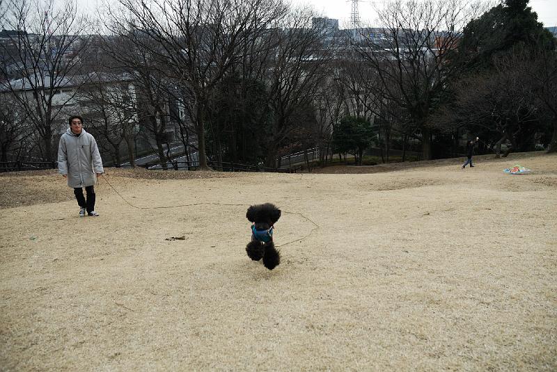 DSC_3012.jpg