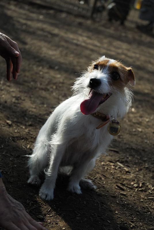 DSC_3462.jpg