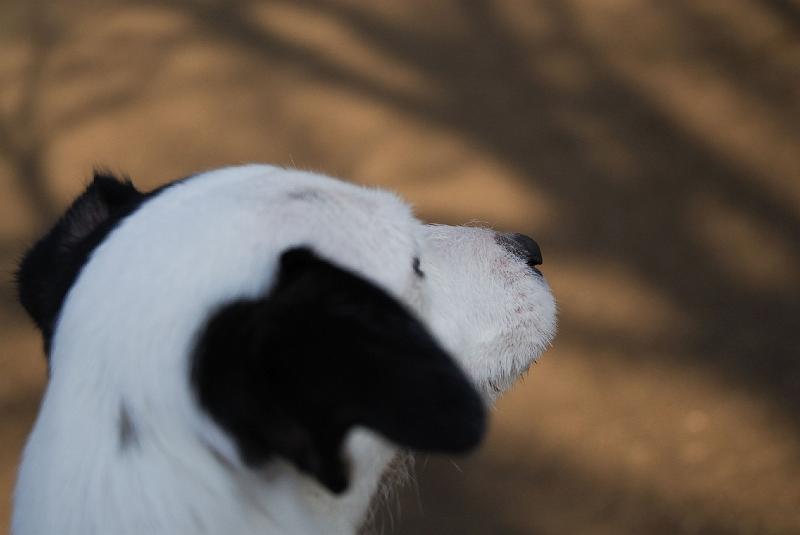 DSC_3529.jpg