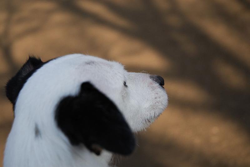 DSC_3530.jpg
