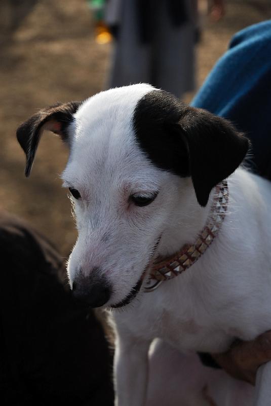 DSC_3564.jpg