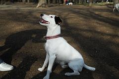 DSC_3507