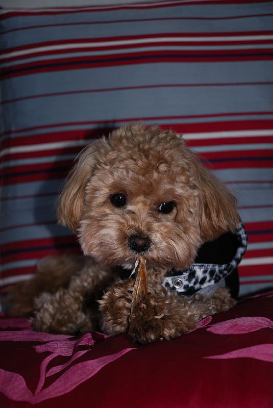 DSC_3835.jpg