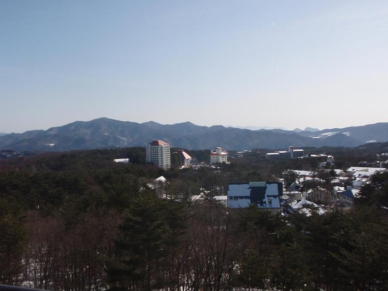 P2220867.JPG