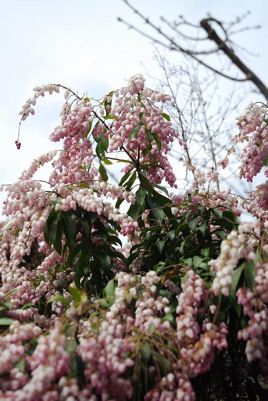 DSC_3988.JPG