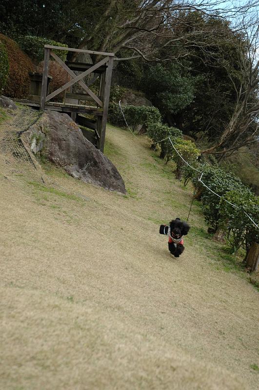 DSC_0656.JPG