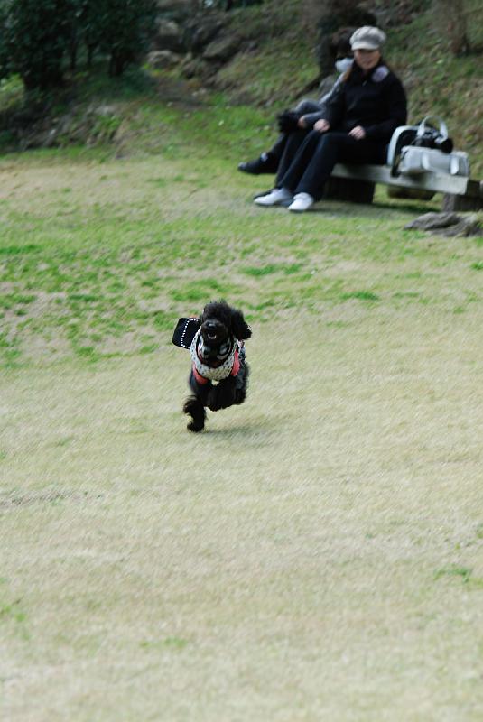 DSC_4148.jpg