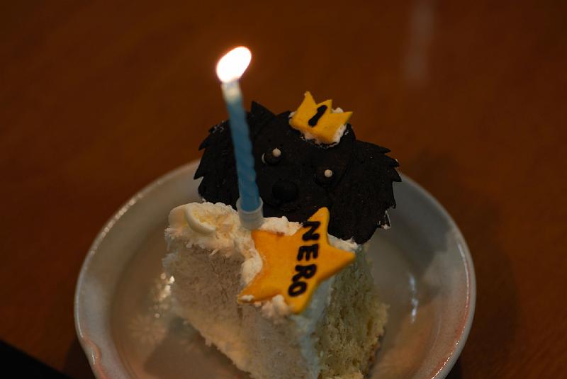 DSC_4252.jpg