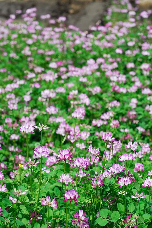 DSC_4489.jpg