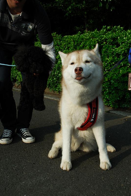 DSC_4784.jpg
