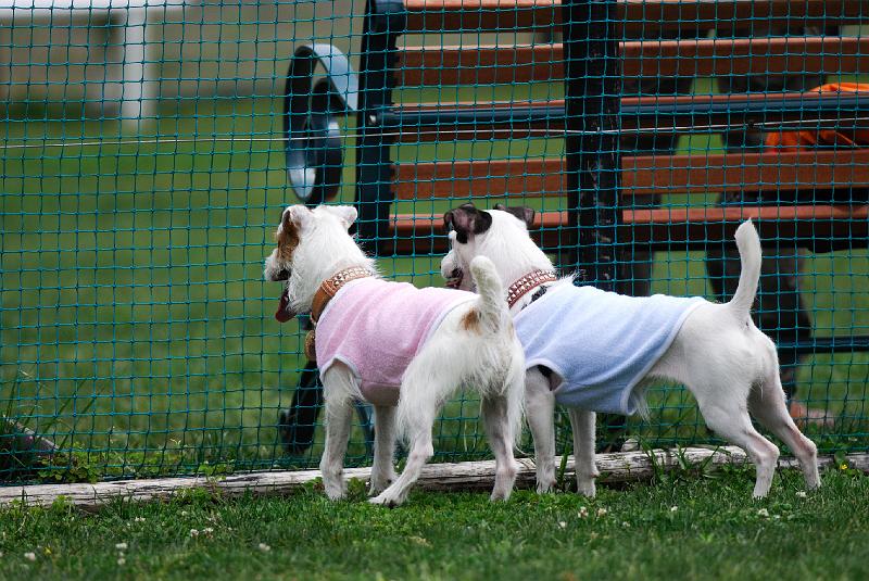 DSC_4925.jpg