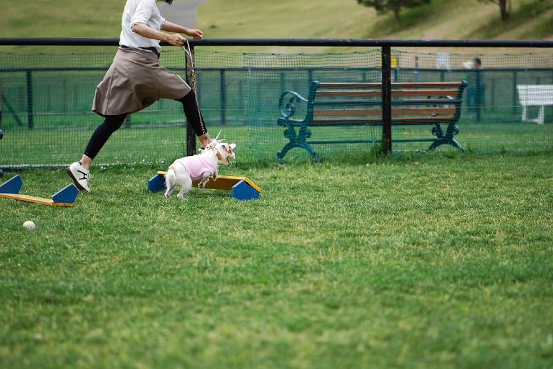 DSC_4945.jpg