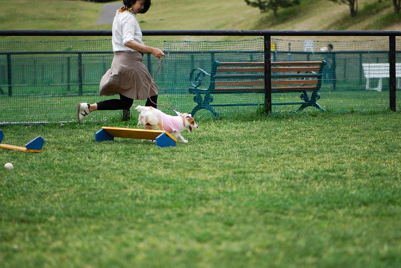 DSC_4946.jpg