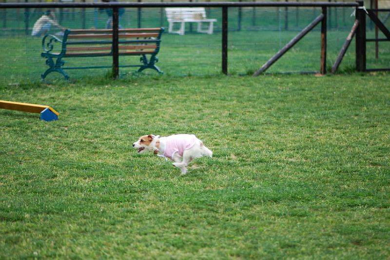 DSC_4992.jpg