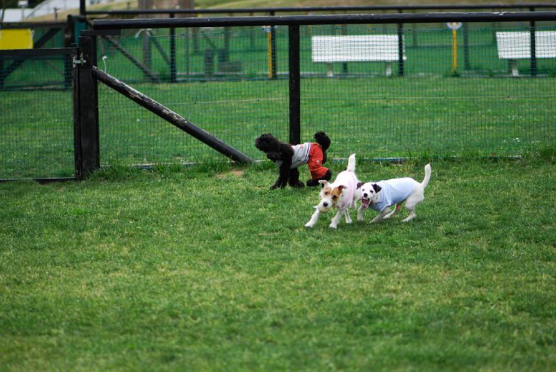 DSC_5016.jpg