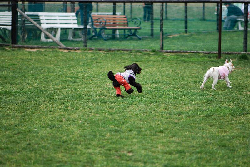 DSC_5020.jpg