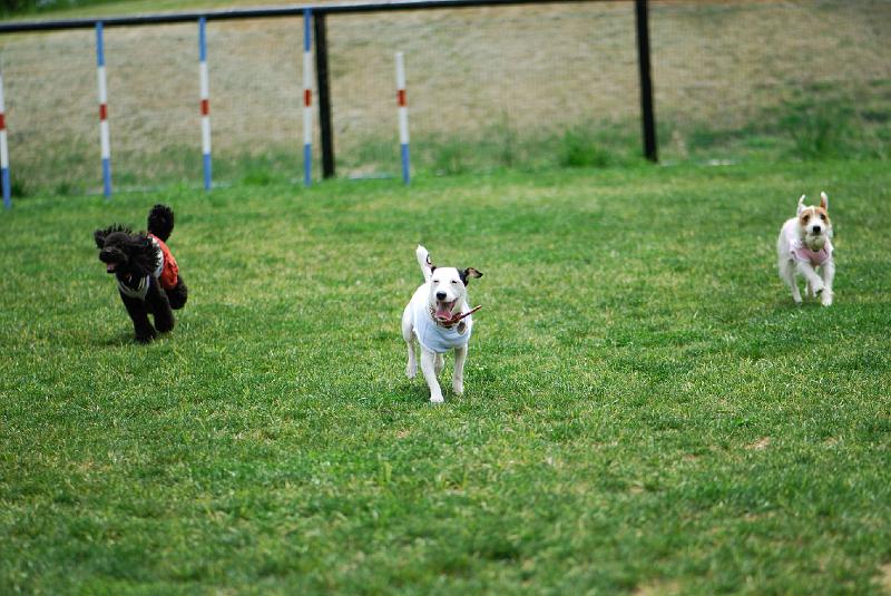 DSC_5041.jpg