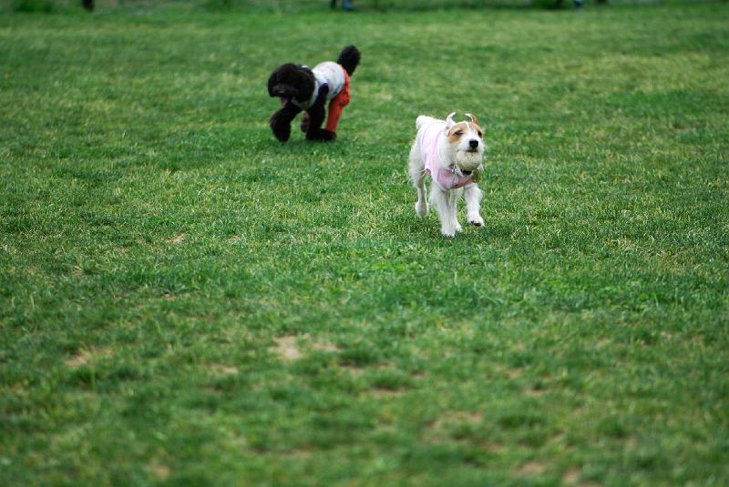 DSC_5065.jpg