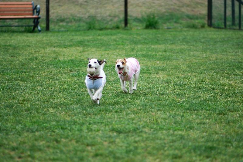 DSC_5070.jpg
