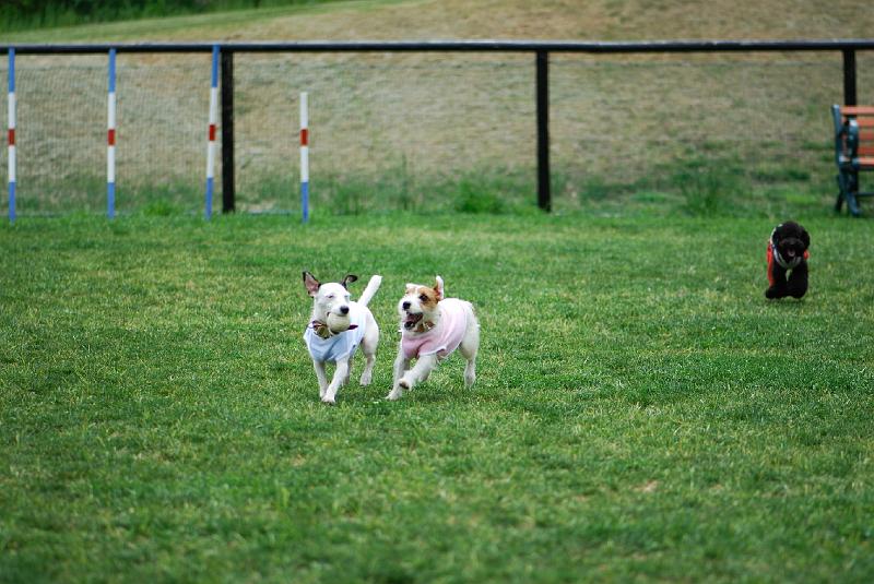 DSC_5076.jpg