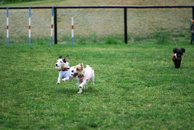 DSC_5077.jpg