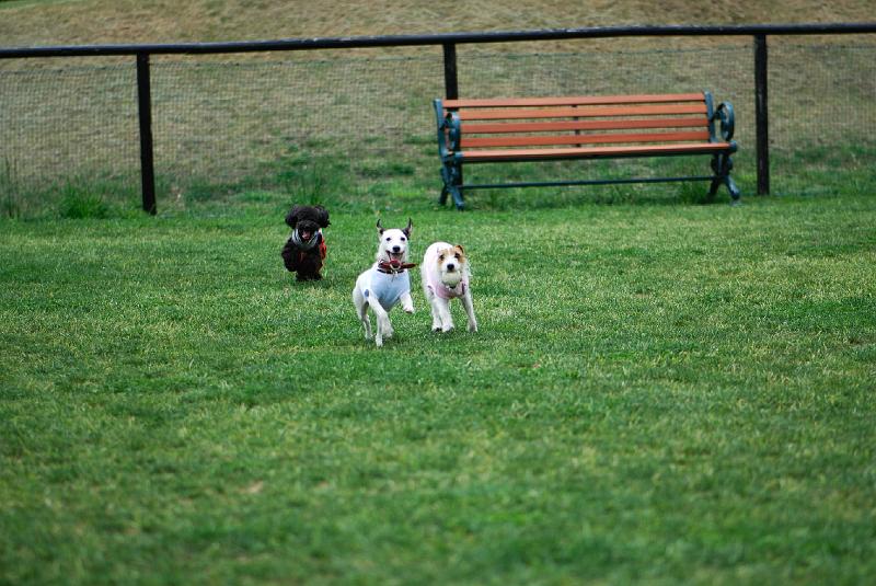 DSC_5083.jpg