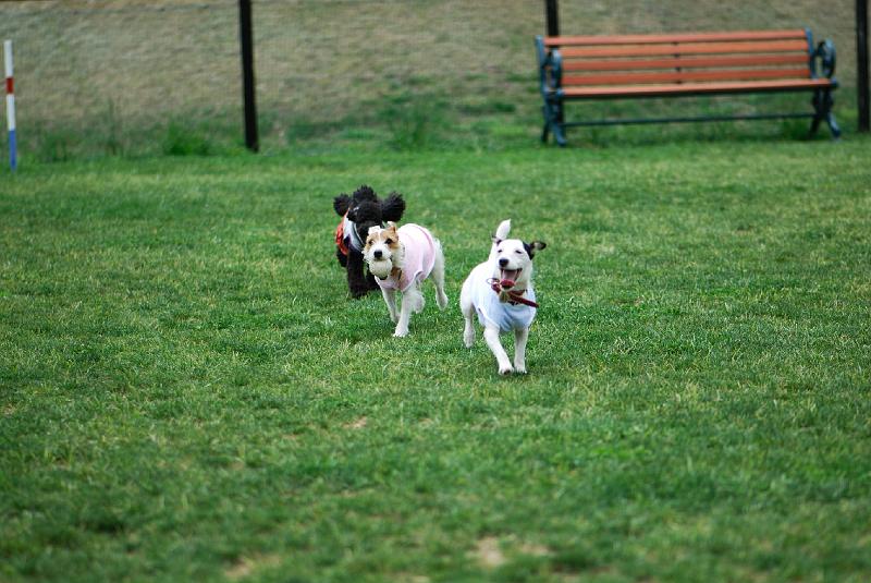 DSC_5085.jpg