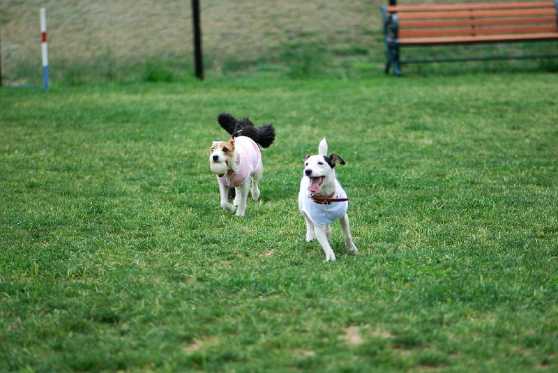DSC_5086.jpg