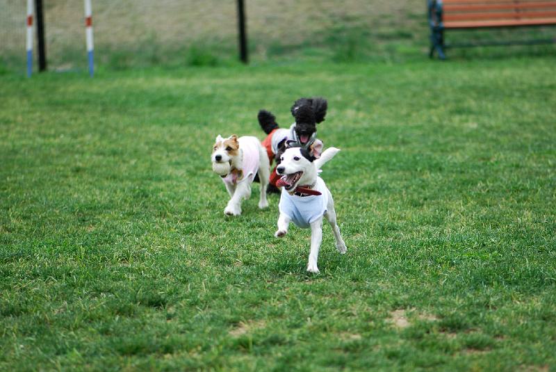 DSC_5087.jpg