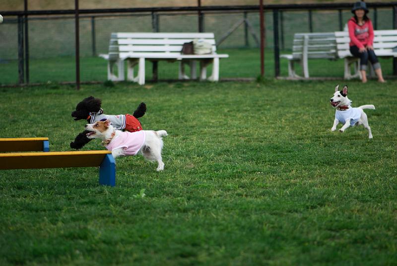 DSC_5094.jpg